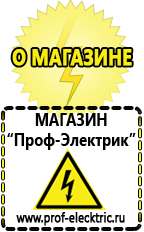 Магазин электрооборудования Проф-Электрик Инвертор+автомобильный акб в Новоалтайске